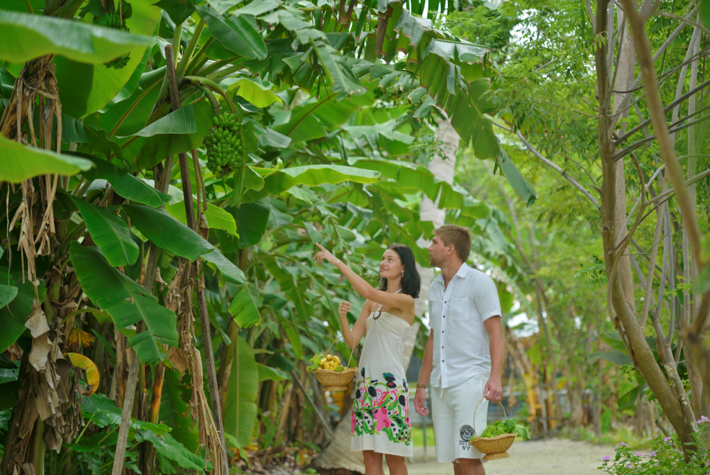 Sun Island Nominated for Leading Green Resort-content1-shipdiary.com